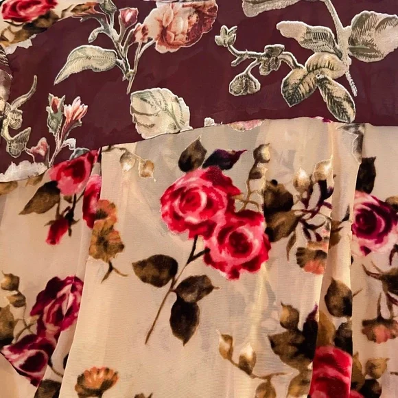 Alice + Olivia Sheer Floral Short-Sleeve Blouse in Beige and Burgundy - Picture 6 of 6